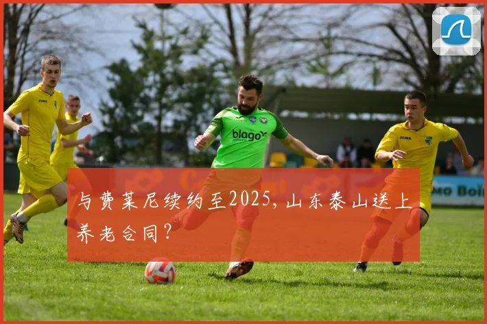 与费莱尼续约至2025,山东泰山送上养老合同？