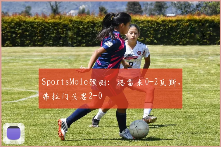 SportsMole预测：格雷米0-2瓦斯，弗拉门戈客2-0