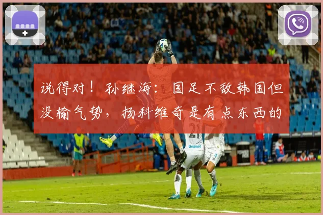 说得对！孙继海：国足不敌韩国但没输气势，扬科维奇是有点东西的